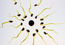 comment savoir si on est en période d'ovulation
